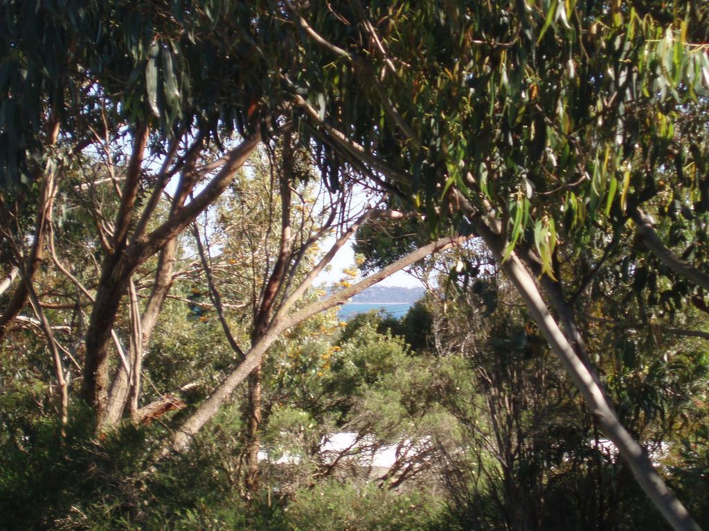 דירות Ventnor Phillip Island Self Check In חדר תמונה